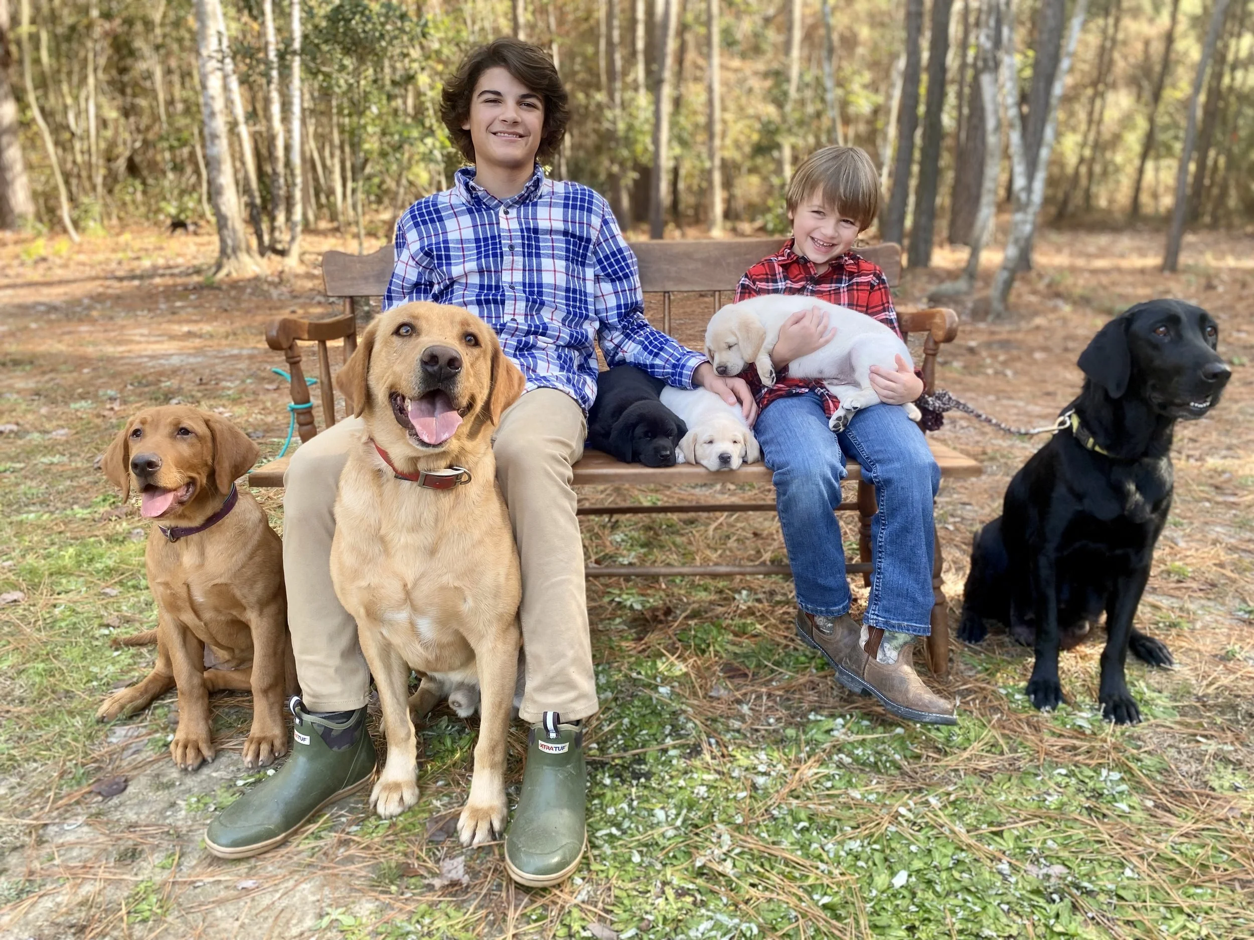 Duck Creek Kennels